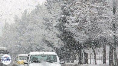 بارش برف و باران در ۸ استان کشور